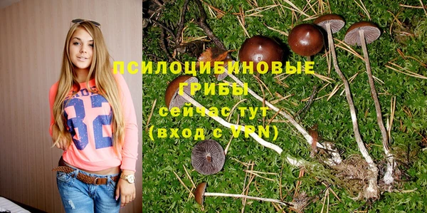 мефедрон мука Медвежьегорск
