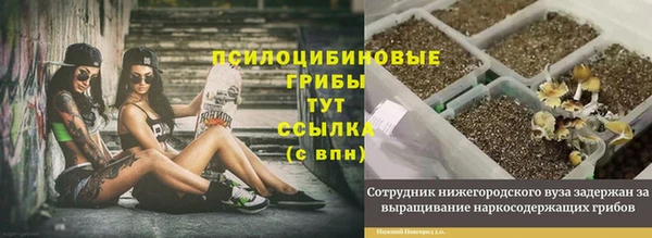 соль ск Мегион