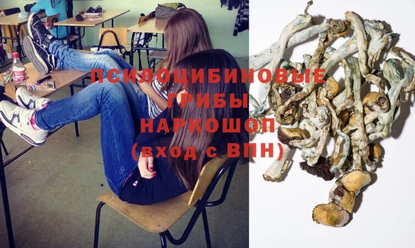 PSILOCYBIN Медногорск