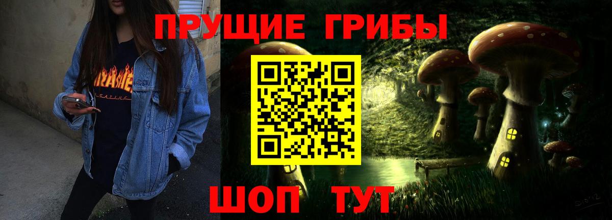 Галлюциногенные грибы Psilocybine cubensis Югорск